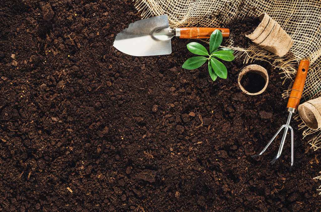 成都绿康有机肥改良土壤_土壤修正原来如此简单_了解它的真正含义
