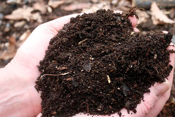 传统的有机肥原料有哪些，是什么？