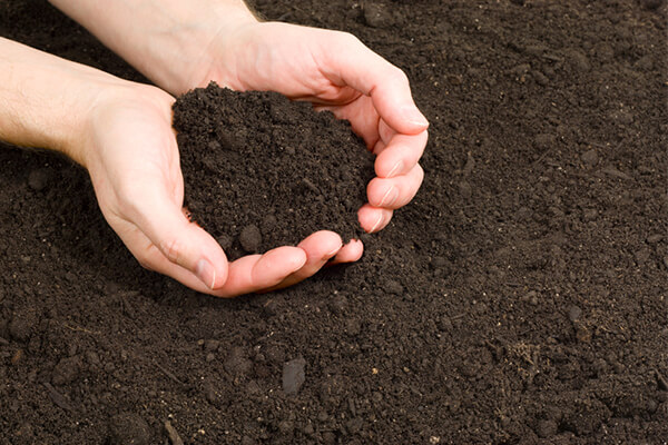 如何利用有机肥改善土壤结构？
