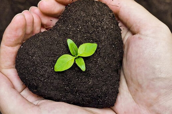 有机肥料 – 生产绿色食品的主要肥源