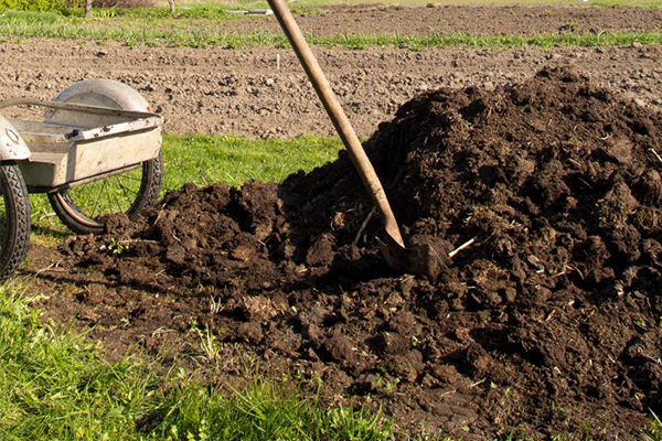 如何降低有机肥对环境的影响？
